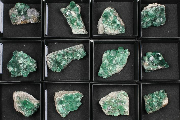 Flat: Green, Fluorescent Rogerley Fluorite - Pieces #97148